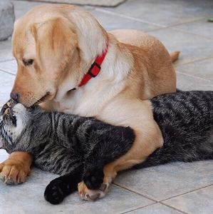 Meet your Posher, Sheila